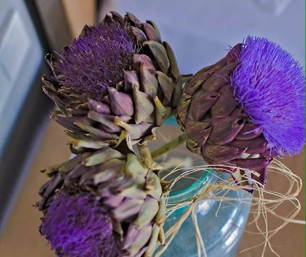 Hotel Signature By Masal Butik *